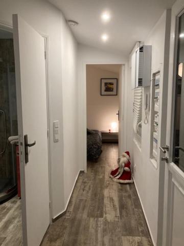 Appartement Mozart Strasbourg Kültér fotó